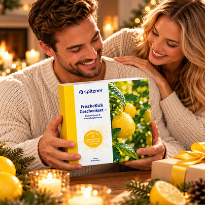 Geschenkset FrischeKick